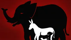 En intressant optisk illusion: Hur många djur kan du se på den här bilden på 10 sekunder?