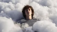 5 saker du troligen aldrig ser i en dröm – och anledningen är överraskande.