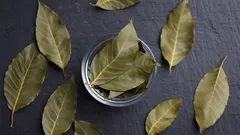 Lagerblad i badet: varför det rekommenderas och vilken effekt det har