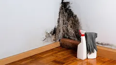 Varför uppstår mögel bakom möbler? Få tänker på en viktig orsak.